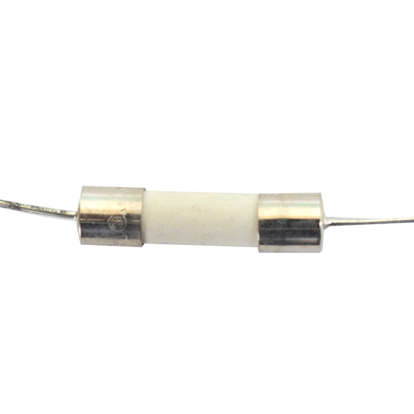 5A Lead fuse