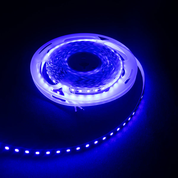 Blue LED Strip 2835 SMD 12V 5 meter (120LEDs/m) - MirageGrove