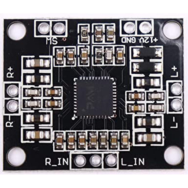 PAM 8610 Digital Stereo Class-D Audio Amplifier Module